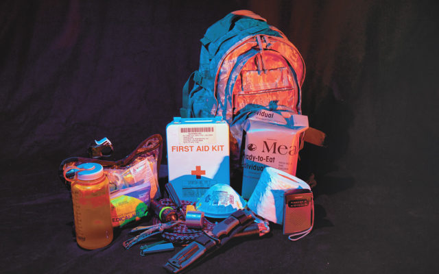 emergency preparedness kit, home security pros